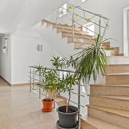 Apartment Spacious 3