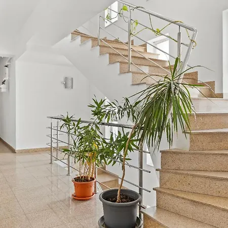Spacious 3 * بوخارست