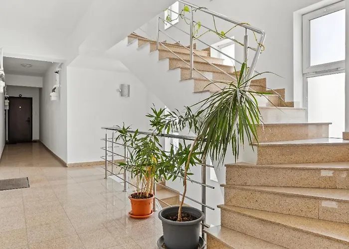 Spacious 3 * Bukarest