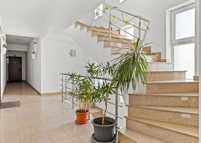 Apartment Spacious 3